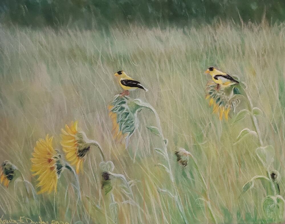 "Sunflowers & Goldfinches" Art Print from my Original Work 8" x 10" Acid Free